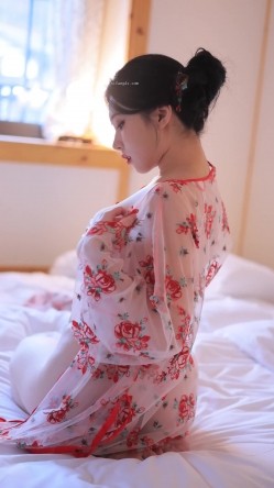 预览图13