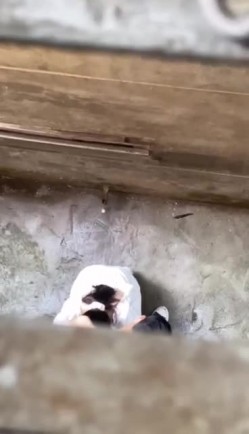 预览图1