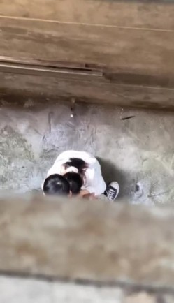 预览图2