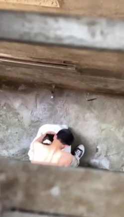 预览图4