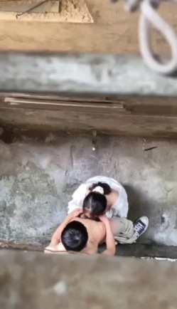 预览图5