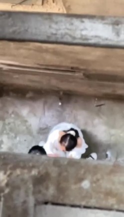 预览图7