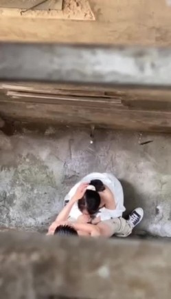 预览图8