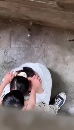 预览图11