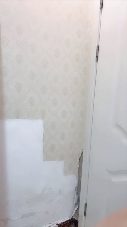 预览图13