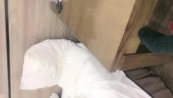 预览图1
