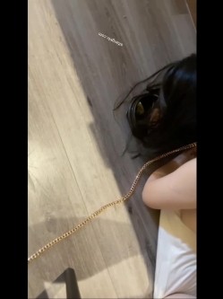 预览图7