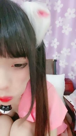 预览图8
