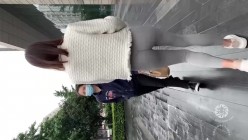 预览图4