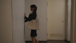 预览图9