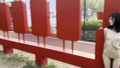 预览图12