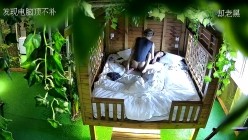 预览图12