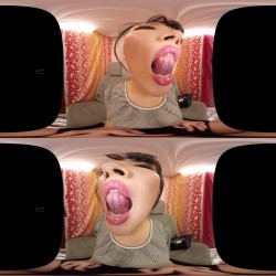 预览图6