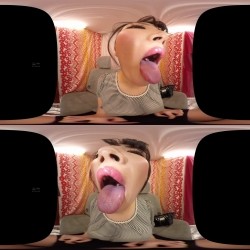 预览图7