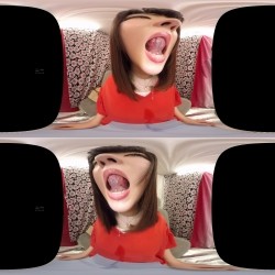 预览图11