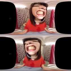 预览图12