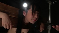 预览图8