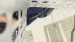 预览图5