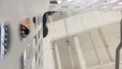 预览图8