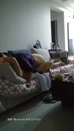 预览图14