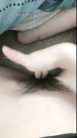 预览图6