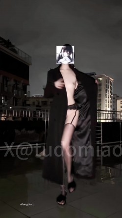 预览图4