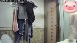 预览图3