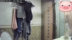 预览图8
