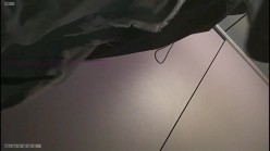 预览图4