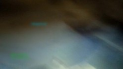 预览图6