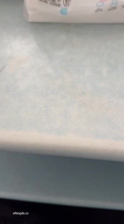预览图6