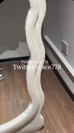 预览图7