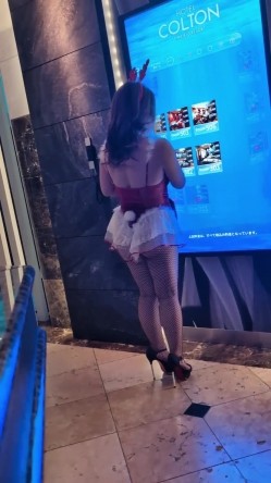 预览图13