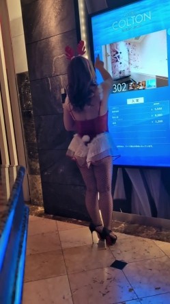 预览图14