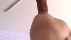 预览图8