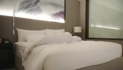 预览图13