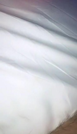 预览图12