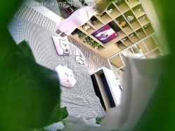 预览图2