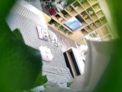 预览图3