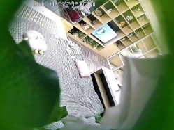 预览图6