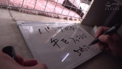 预览图4