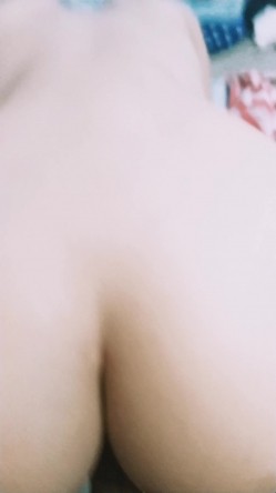 预览图4