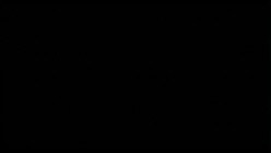 预览图5