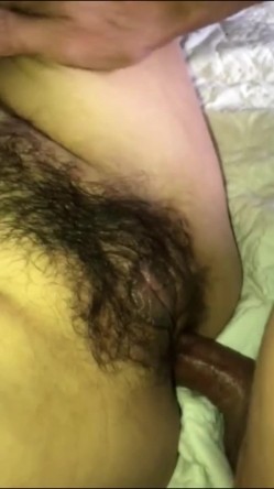 预览图14