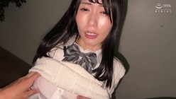 预览图11