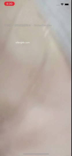 预览图2