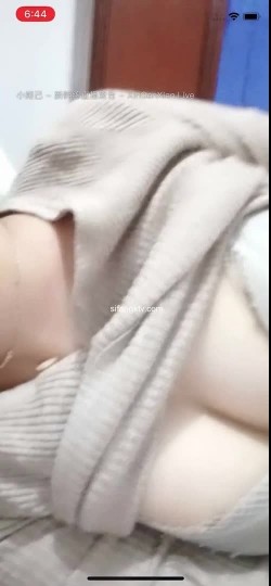 预览图4