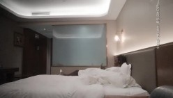 预览图5