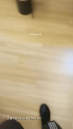 预览图2