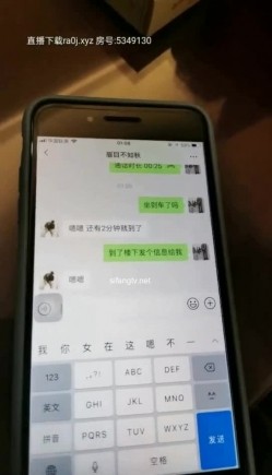 预览图5